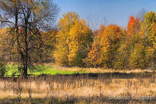Autumn Landscape_17521.jpg - Photographed near Crosby, Ontario, Canada.